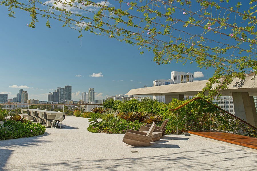 beautiful rooftop garden with city landscaping