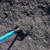 Cape Cod Black Mulch by South Shore Landscape Supply