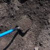 Compost by South Shore Landscape Supply