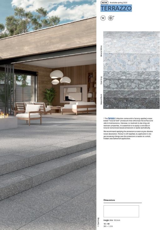 Techo Terrazzo Step 15x48 Polished
