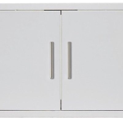 Blaze 32″ Double Access door w/paper towel holder